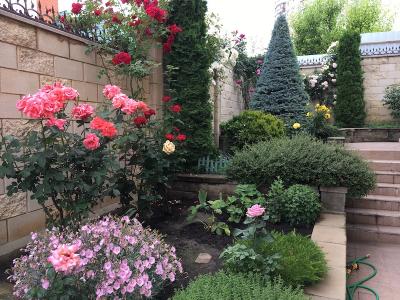 Прикрепленное изображение: IMG_9204.jpeg